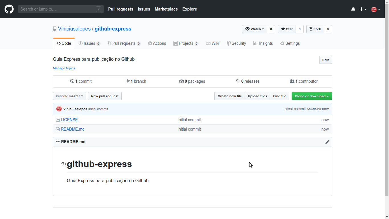 004-github-express-repository.png