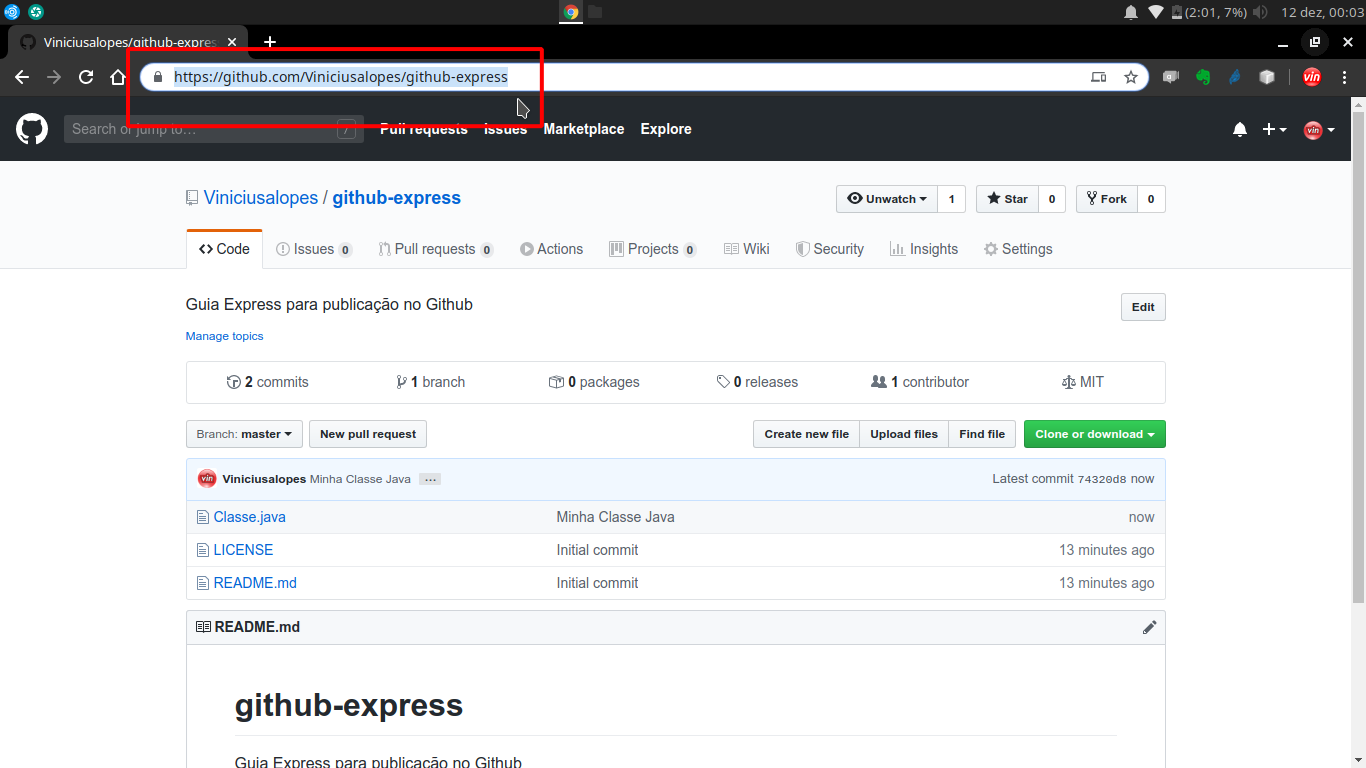 008-github-express-link-publico.png