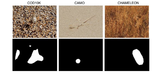 Weakly supervised object segmentation