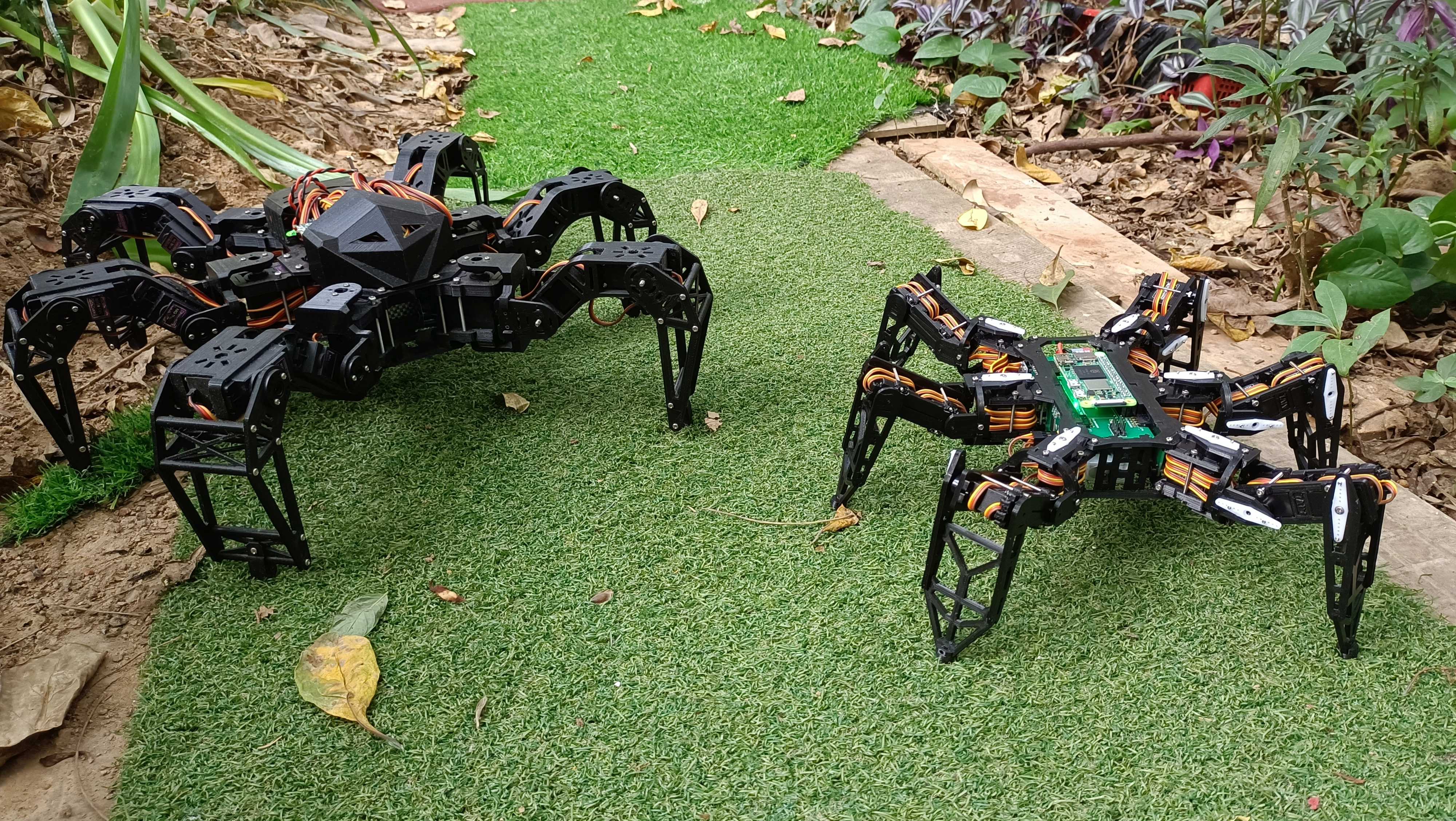 hexapod.jpg