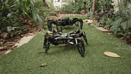 real_hexapod_450P.gif