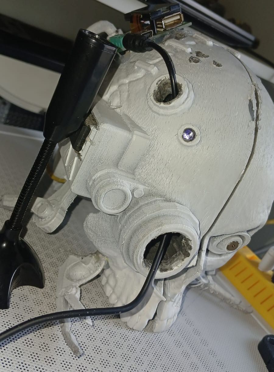 Caveira impressa em 3D usada como corpo do Servitor Assistant