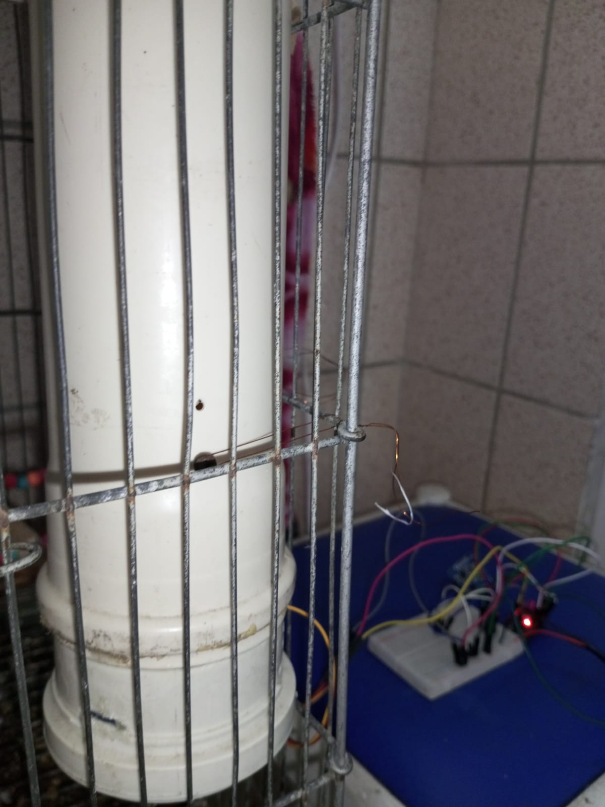 Alimentador automatico de passaros feito com canos PVC e eletronica