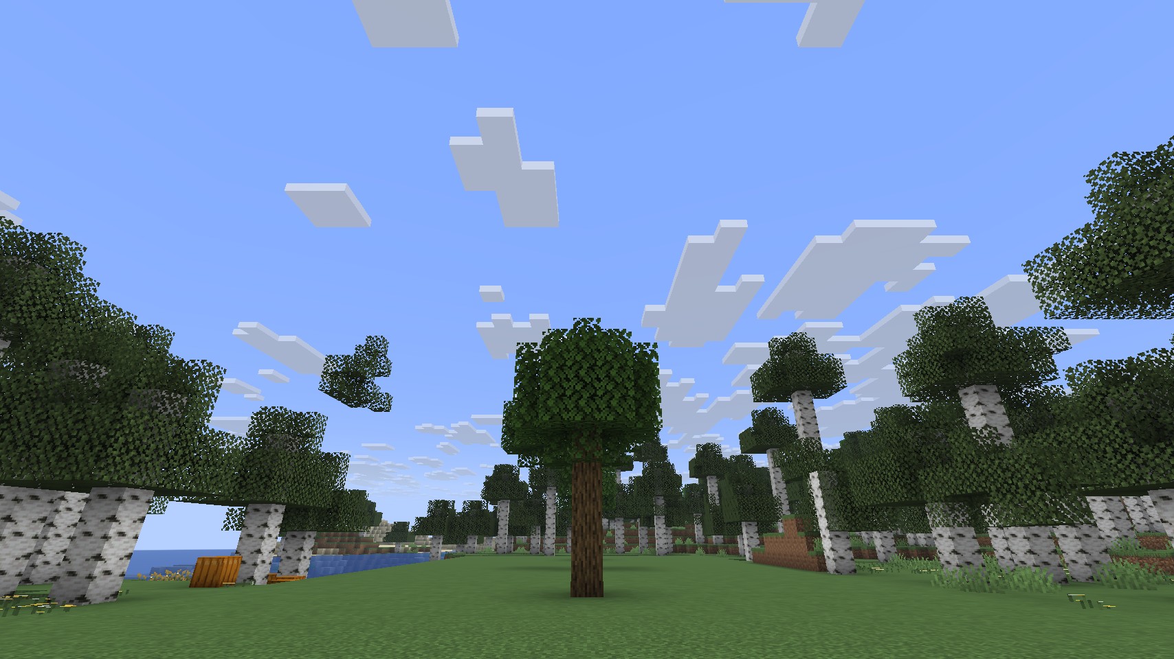 A tree