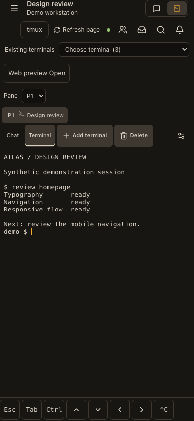 Terminal with key bar on a 390 px wide screen: real app screen