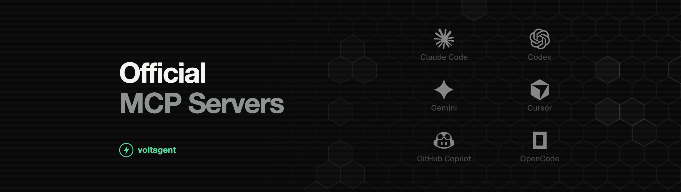 Official MCP Servers