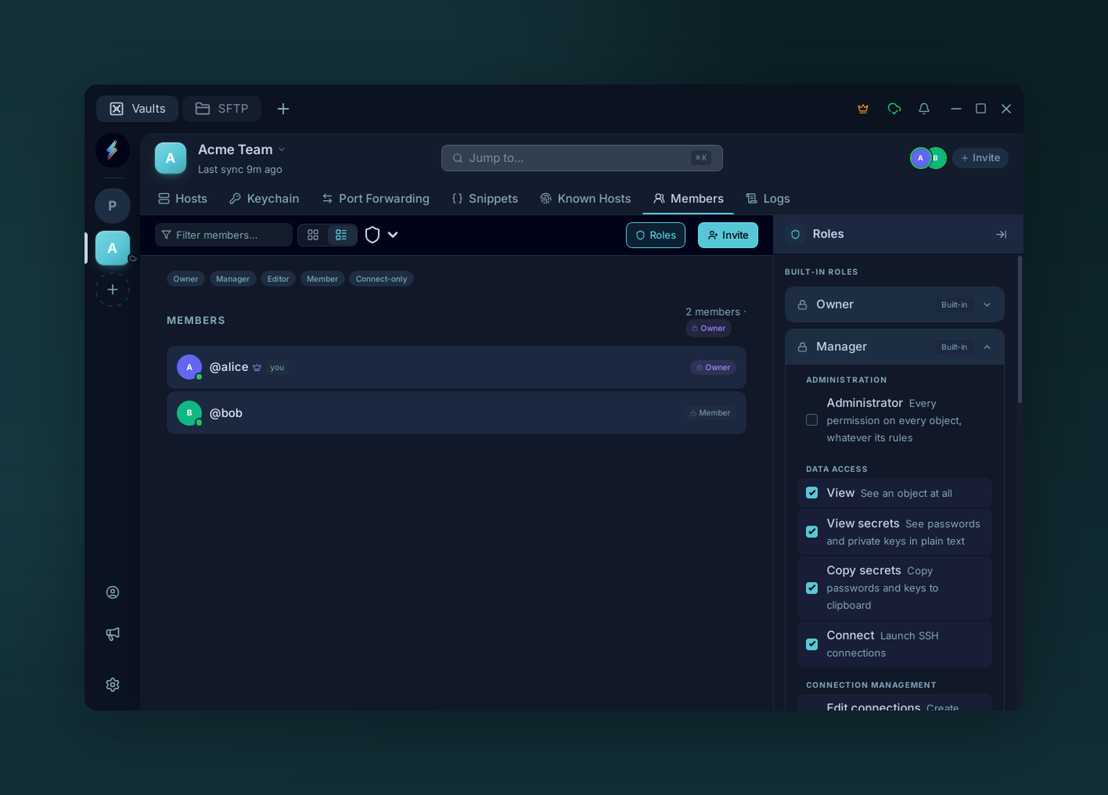 Team vault members and role permissions