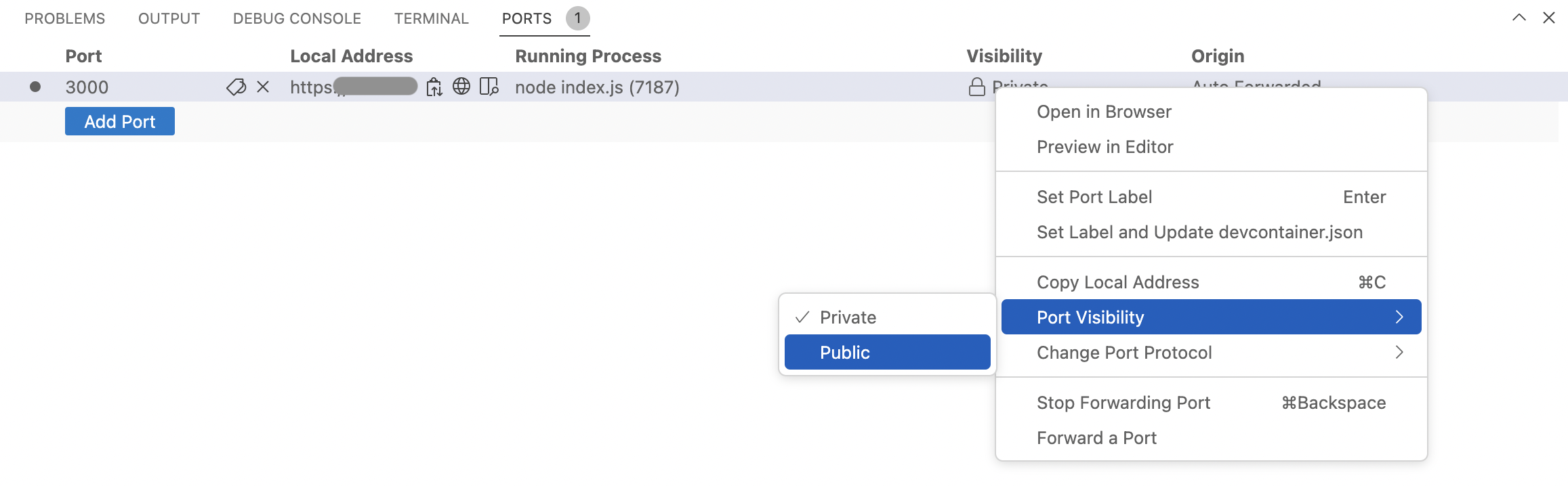 codespace port public