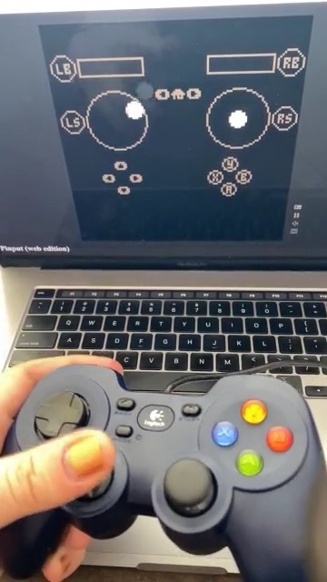 Pinput working in web browser with Logitech F310 gamepad