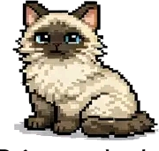 Angela's cat