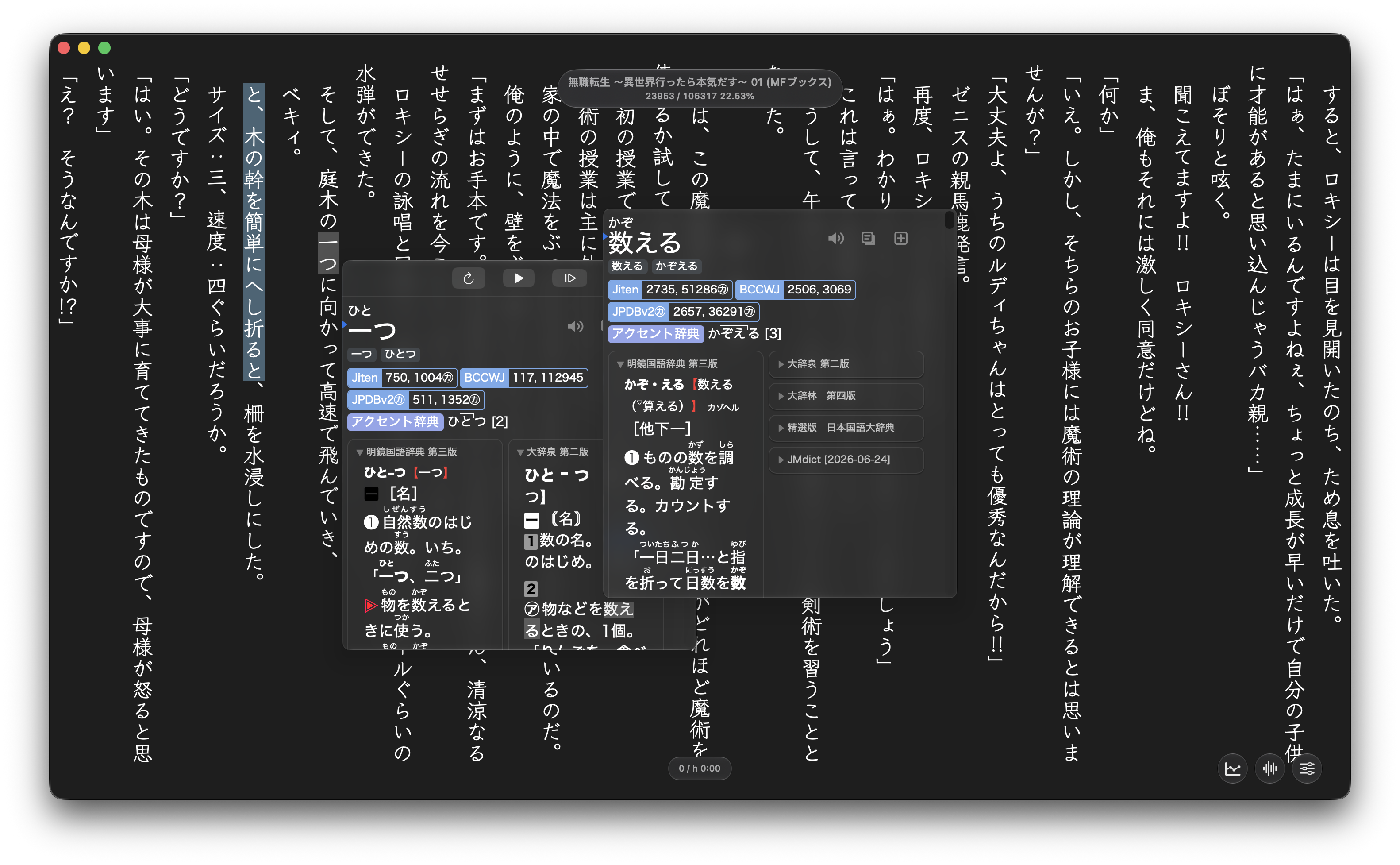 Reader popup dictionary