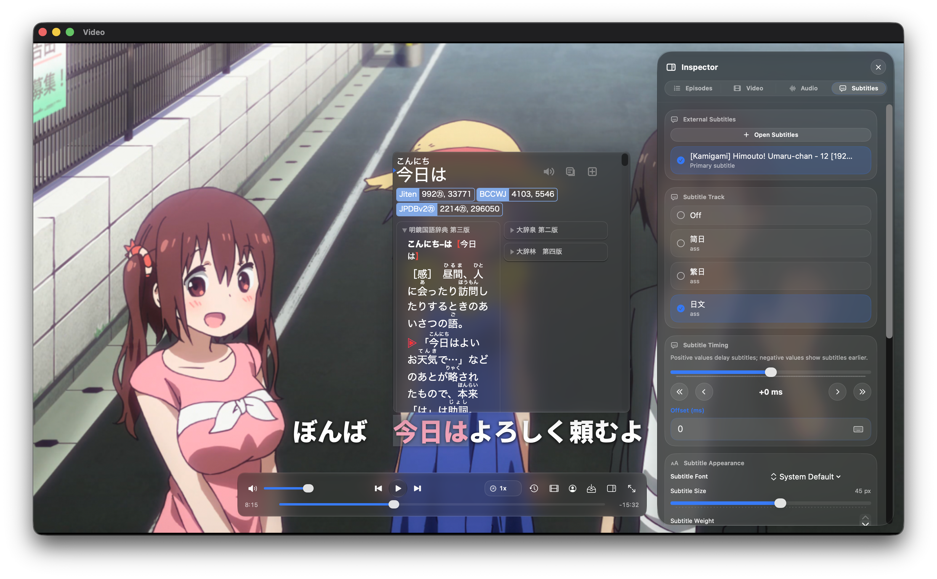 Video subtitle lookup