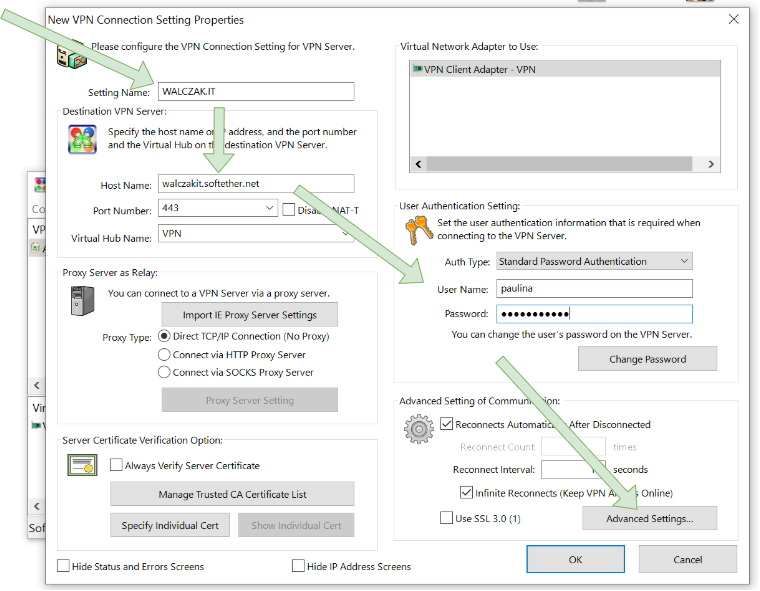 softether-client-add-connection-2.png