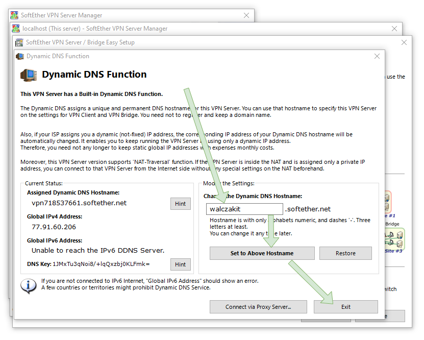 softether-serv-dns.png