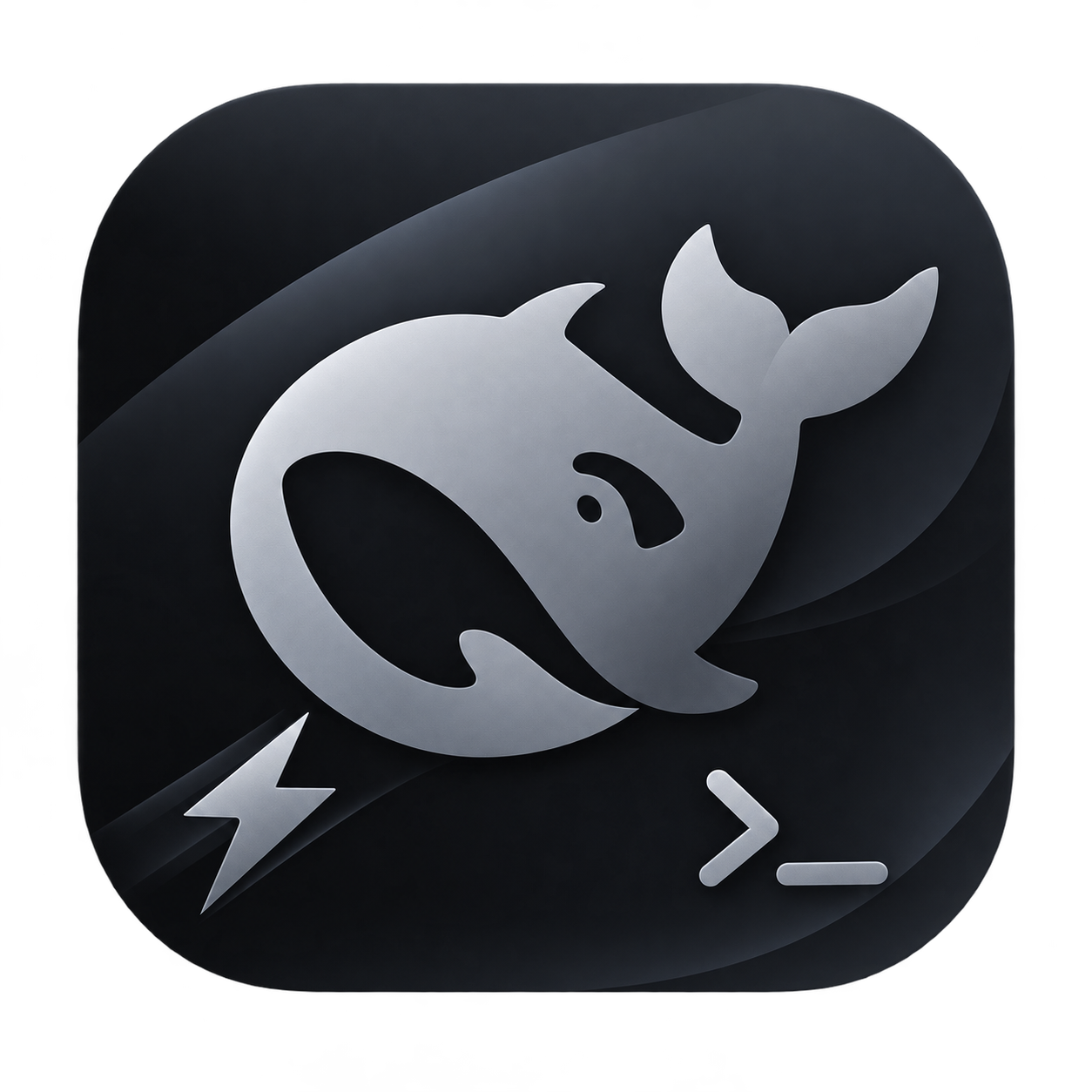 DSH Launcher 图标