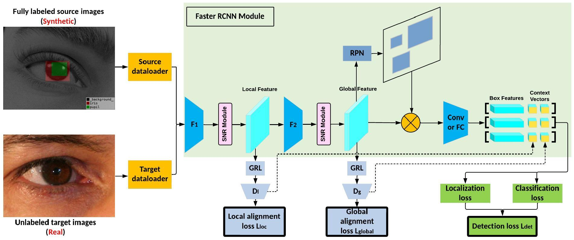 Adaptation Model