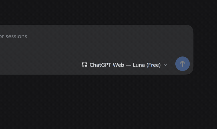 dsh-chatgpt-web Interactive Demo