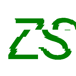 ZS Glitch