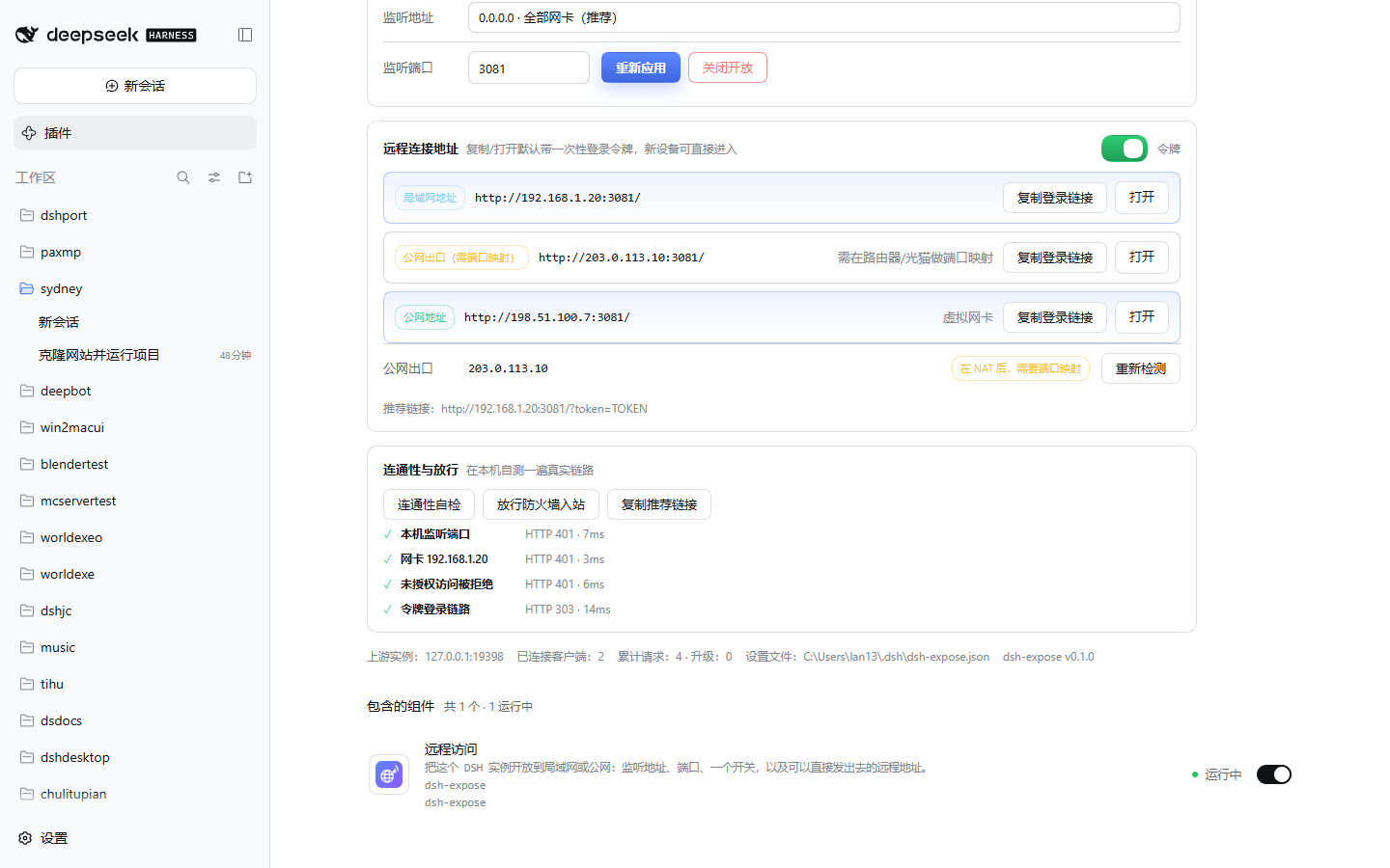 远程连接地址、公网出口与连通性自检