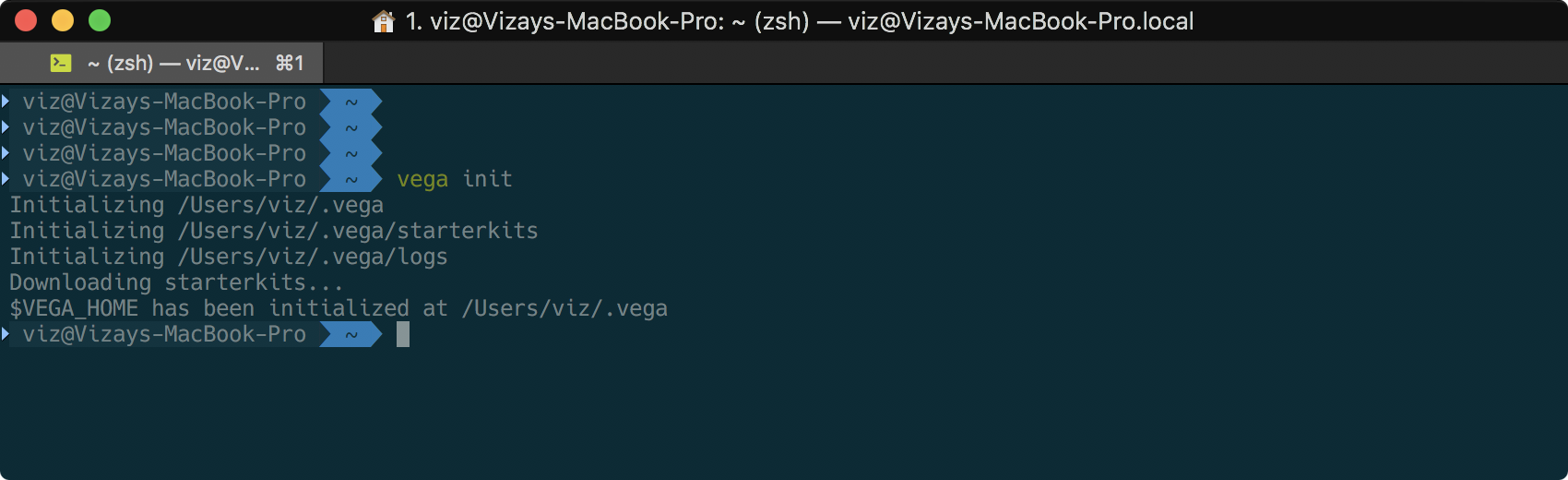 vega init