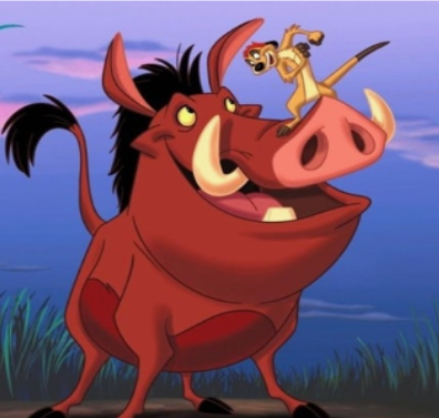Timonpumbaa-188