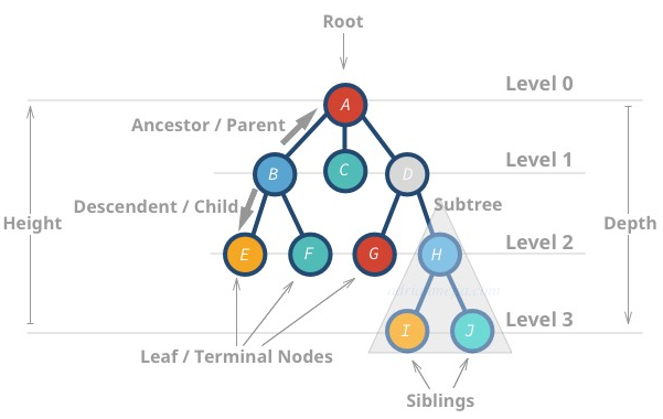 树的基本结构和概念