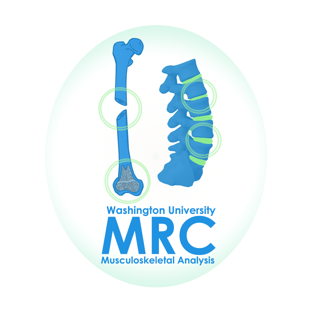 @KitwareMedical/slicer-extensions-webapp