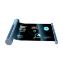 Fast TM icon