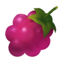 Berries & Food icon