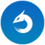 Dragon type icon