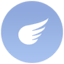 Flying type icon