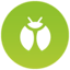 Bug type icon