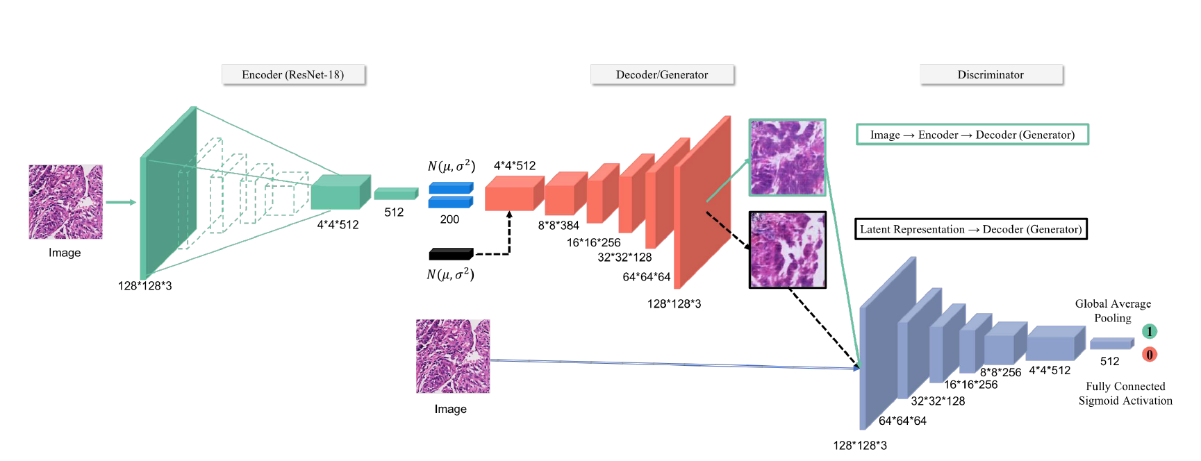论文阅读之 Predicting Lymph Node Metastasis Using Histopathological Images Based on Multiple Instance Learning With Deep Graph Convolution