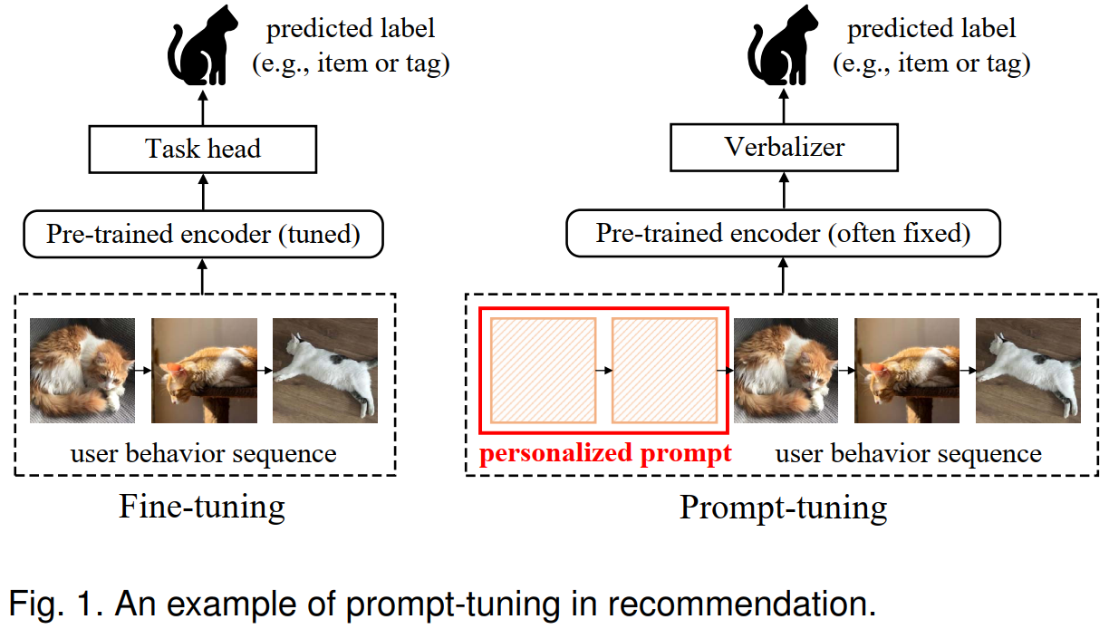 Example of prompt tuning in recommendation