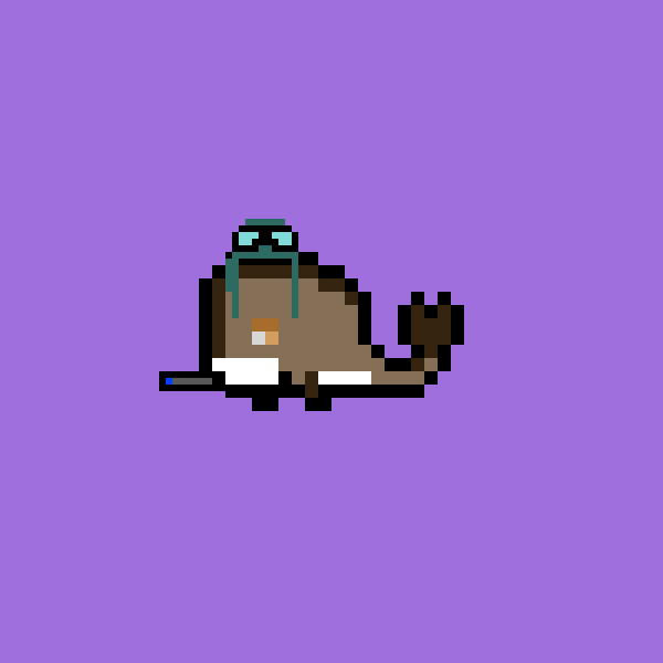 Weird Whale #1366