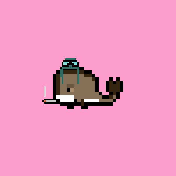 Weird Whale #1537