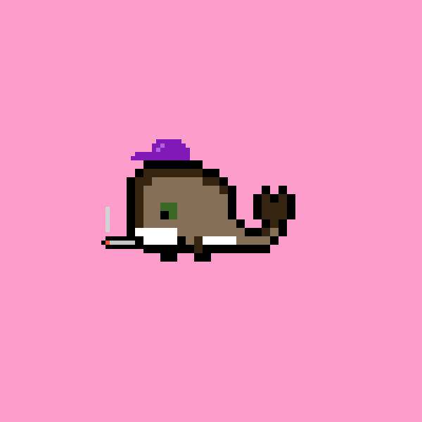 Weird Whale #1677