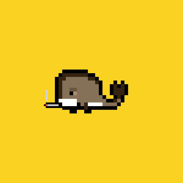 Whale #1699