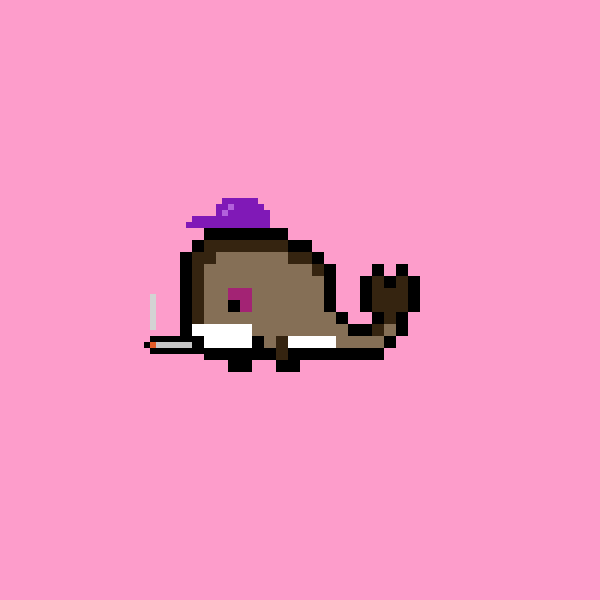 Weird Whale #1707