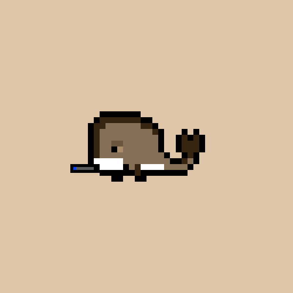 Whale #2066