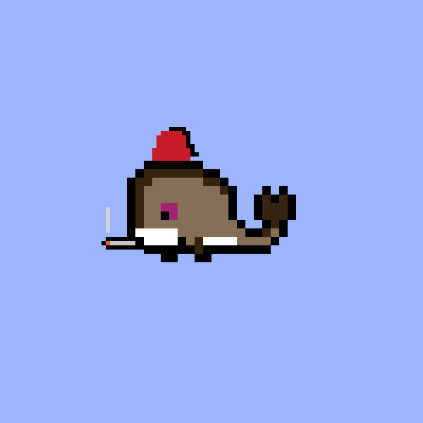 Weird Whale #2428