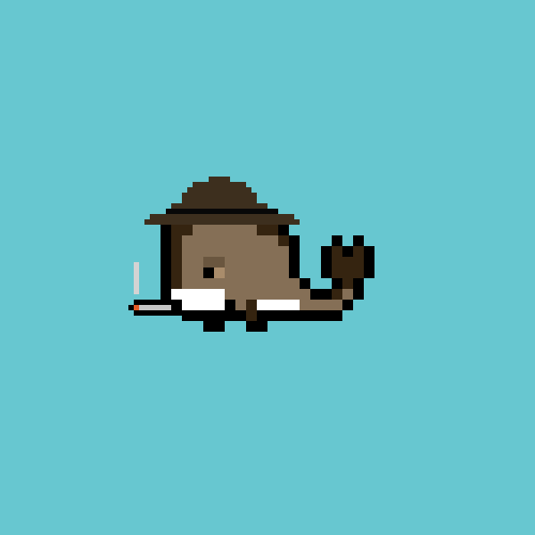 Whale #2517