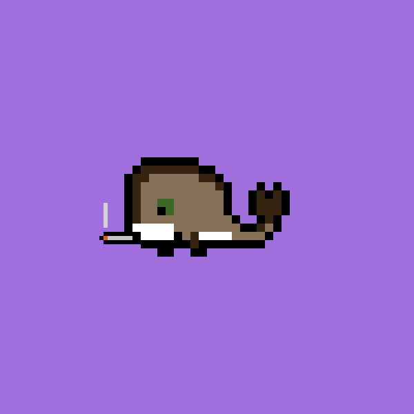 Weird Whale #2572