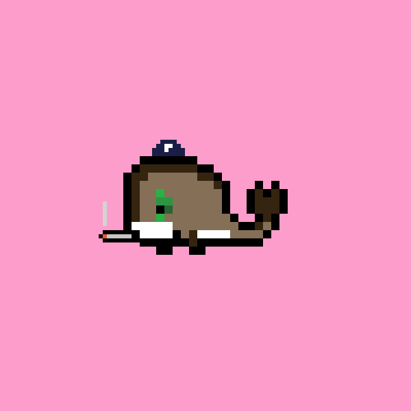 Weird Whale #2831