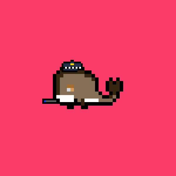 Whale #596