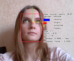 face_detector