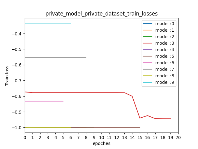 private_model_private_dataset_train_losses