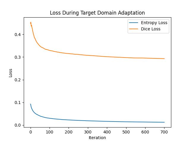 Loss During Target Domain Adaptation