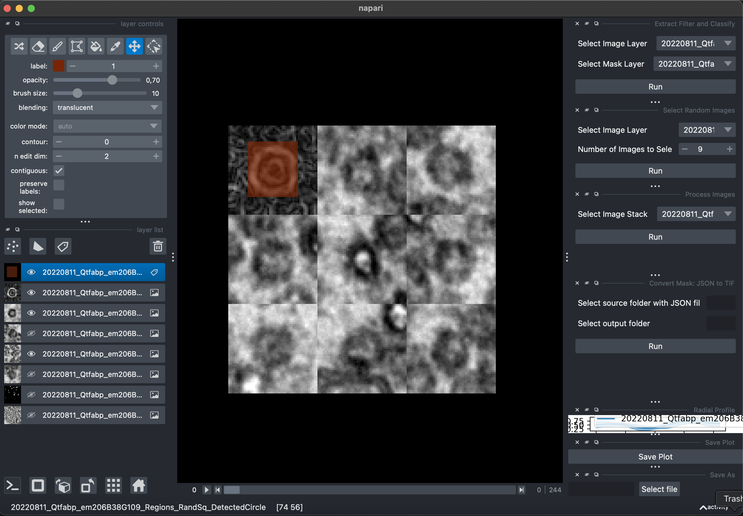 EncapsulinAnalyzer Screenshot