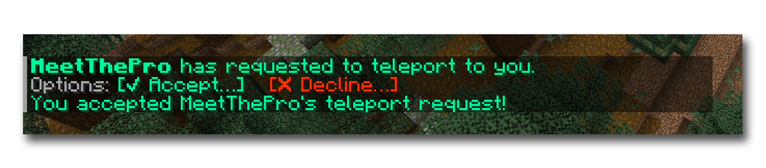 Teleport requests screenshot